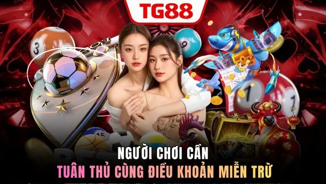 Người chơi cần tuân thủ cùng điều khoản miễn trừ