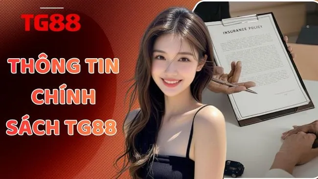 Thông Tin Chính Sách TG88